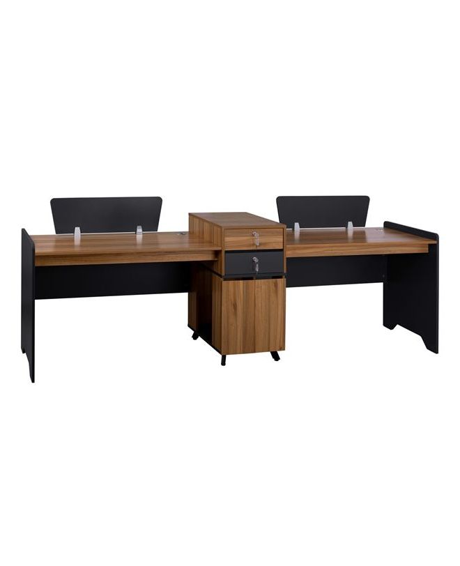 ΕΠΑΓΓΕΛΜΑΤΙΚΟΣ ΣΤΑΘΜΟΣ ΕΡΓΑΣΙΑΣ SUPREME HM2350 2 ΑΤΟΜΩΝ 289x60x100Υ εκ.