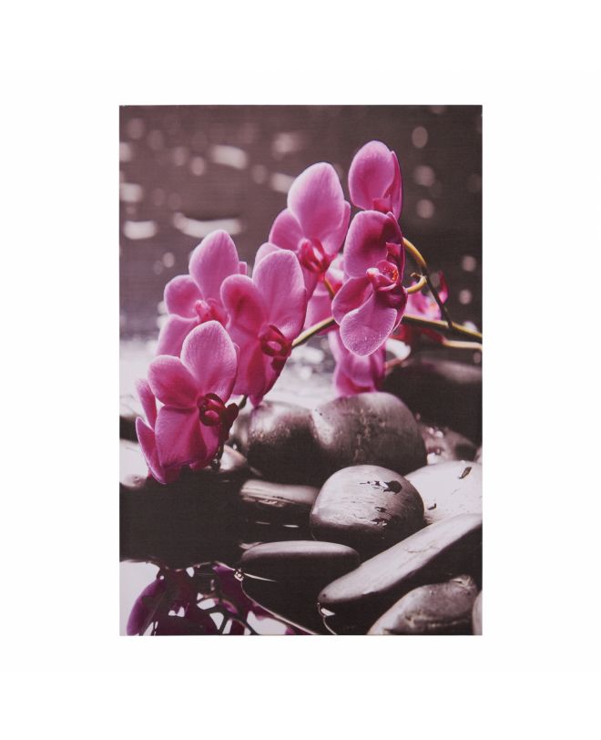 ΠΙΝΑΚΑΣ ΚΑΜΒΑΣ PINK ORCHID HM7154.12 60X90X2.5 εκ.